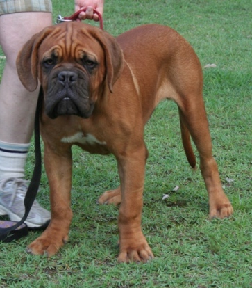 I'd rather be playing than standing here.