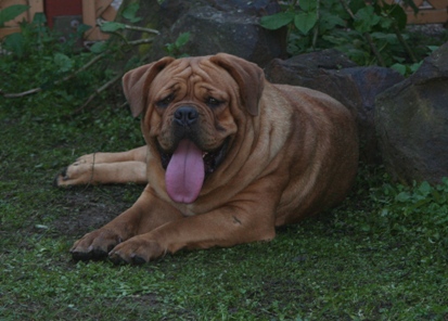 Emily resting by the garden.